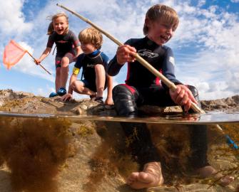 Find historic oyster beds