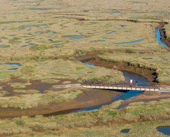 Sights and sounds of the UK’s saltmarshes