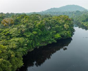 Rivers and wetlands