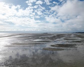 Find historic oyster beds