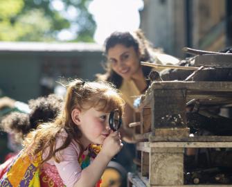 Build a bug hotel