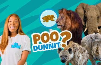 Poo-dunnit episode 2