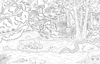 Rainforest colouring sheet