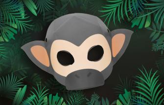 Spider Monkey