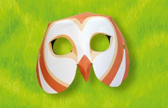 Barn owl