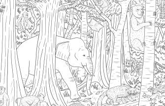 Borneo forest colouring sheet