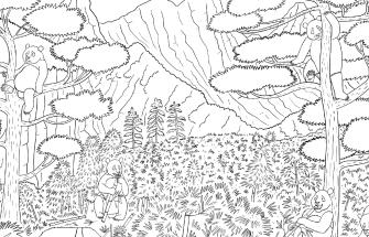 Panda colouring scene