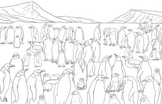 Antarctic colouring sheet 
