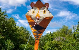 Tiger paper kite