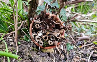 Go Wild Bug Hotel
