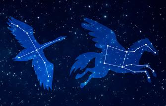 GW Constellation