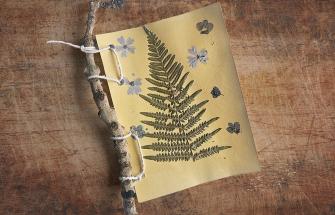 GW Nature book