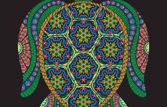 Huichol Turtle Art – Mexico