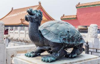 Dragon Turtle – China