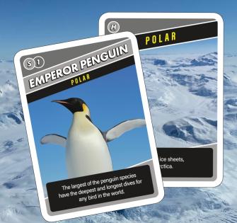 SOS SAVE OUR SPECIES CARD GAME £19.00