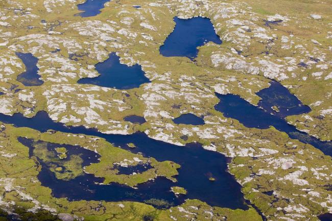 Moorland