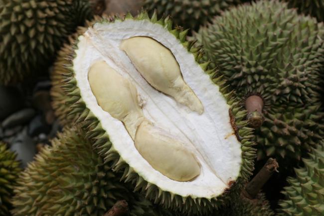 Durian fruit