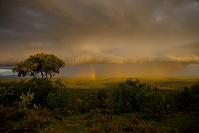 Storm clouds over the Maasai Mara