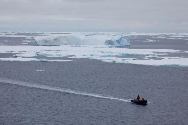 Members of the whale research team travel back to the ship in a zodiac after tagging a humpback whale along the Antarctic Peninsula.