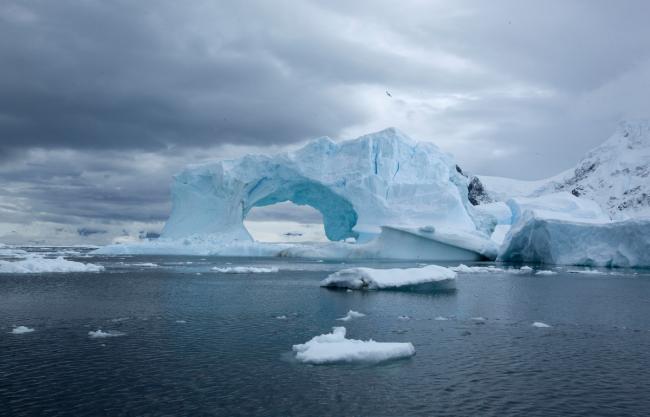 Glacier and icebergs, Antarctica