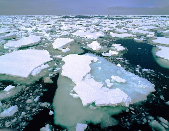 Drifting melting ice in sea, Antarctica. 