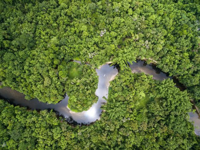 Aerial view of Amazon rainforest, Brazil 