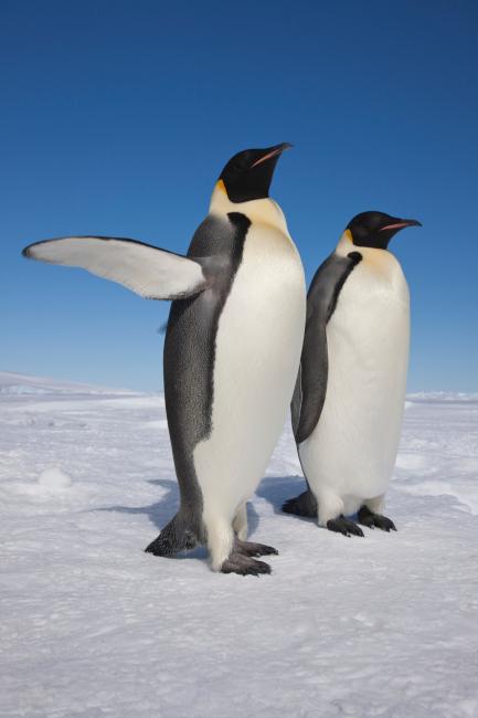 Our success stories: what we've achieved together | WWF