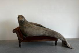 Reclining Seal