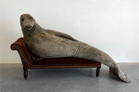 Reclining Seal