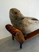 Laura ford reclining seal