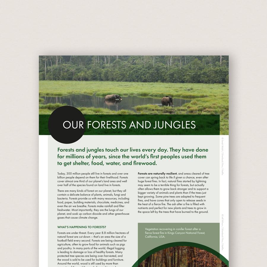 Our Classroom Resources WWF