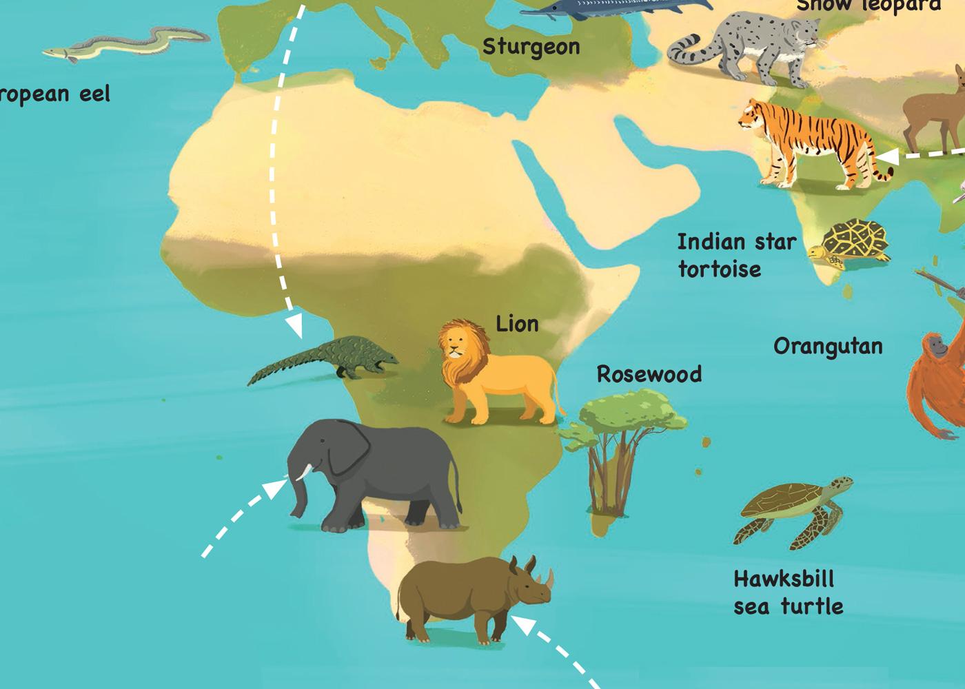 Species Resources For Schools Wwf