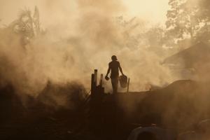 Workers make charcoal from Shihuahuaco wood