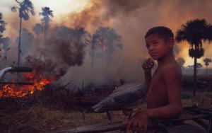 Young boy on the road along burning forest Roraima state Amazon
