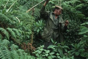 A park ranger in Virunga