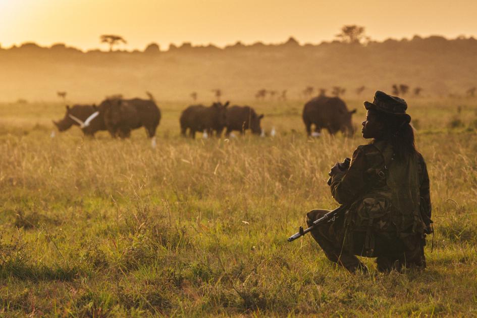 Why we need to protect the wildlife | WWF