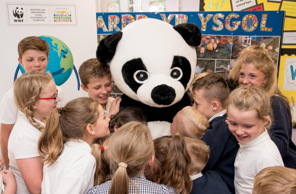 Supporting Teachers And Schools Wwf