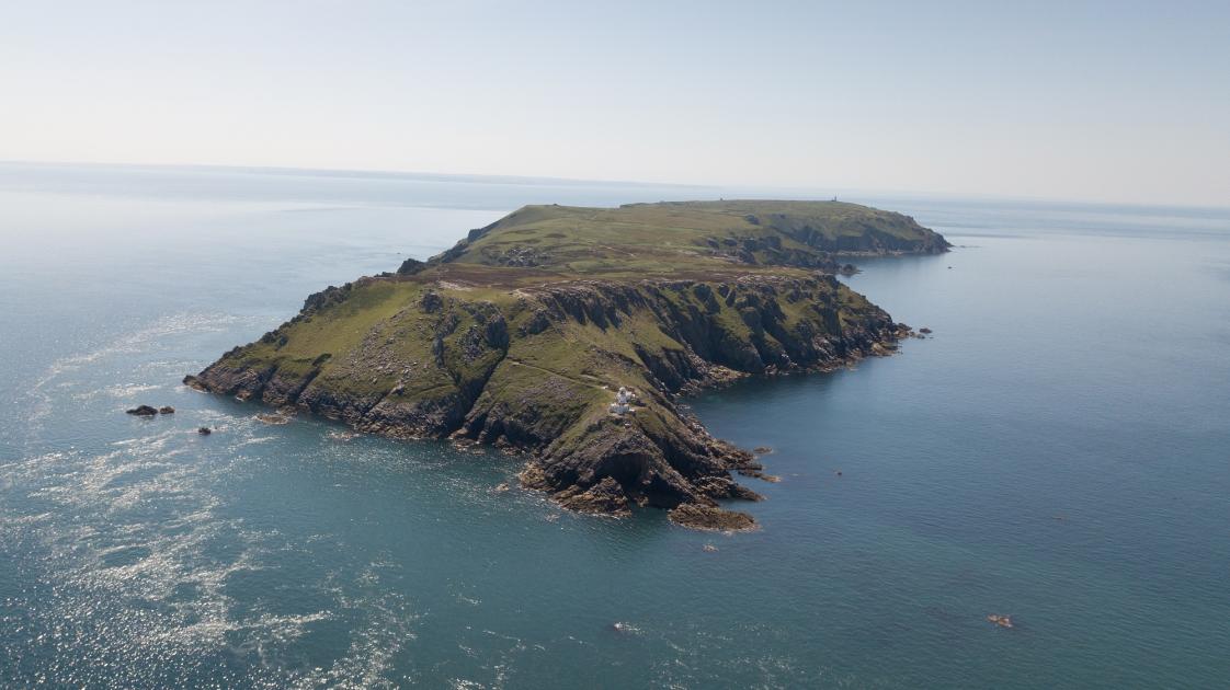 Journey To The Sea Wwf