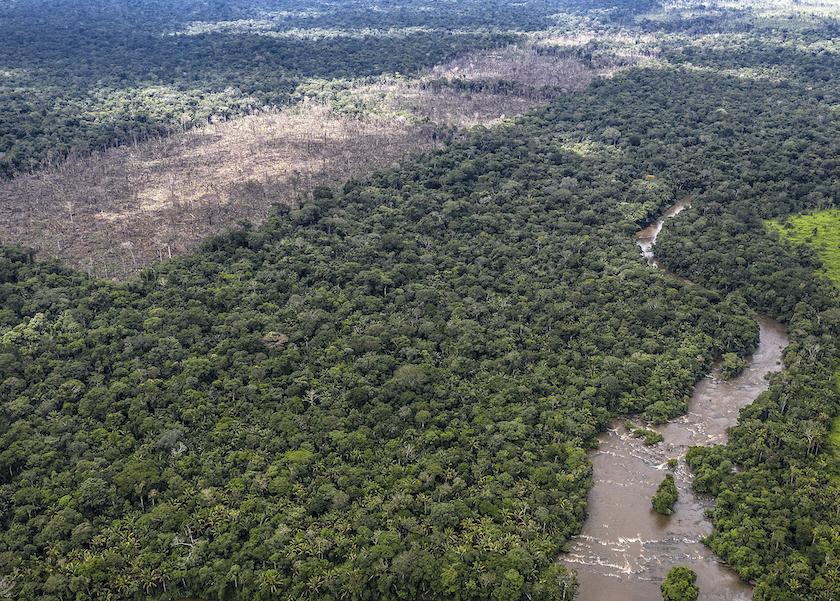 WWF Deforestation Fronts report - Vimarsana News