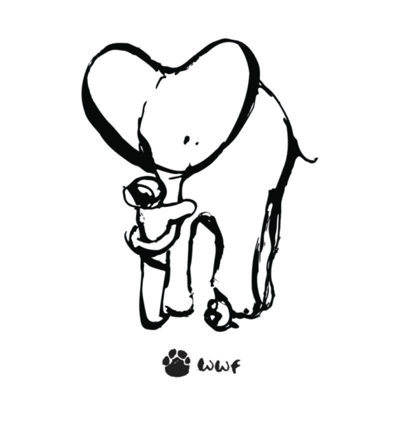 Charlie Mackesy collaboration | WWF
