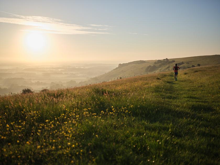 North Downs 50 Challenge