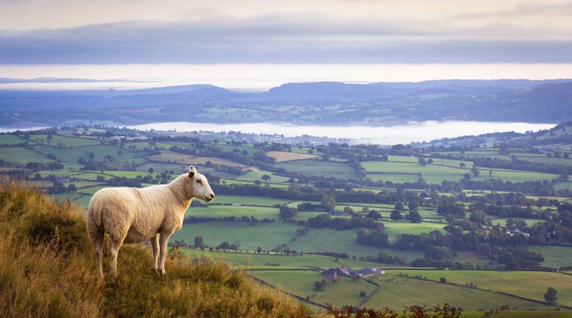 Rural Wales want farmers to be supported to tackle the climate and nature crisis