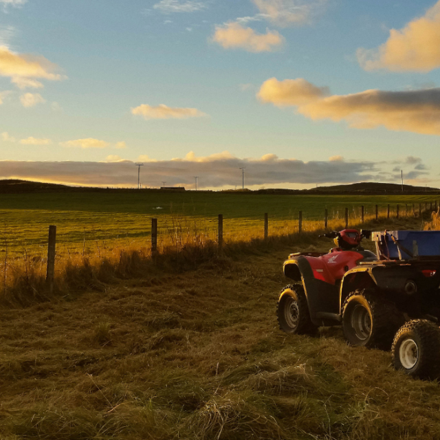Tractor on fields