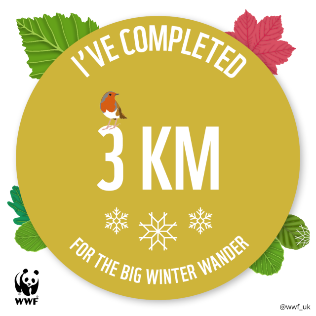 BWW 3KM tracker badge