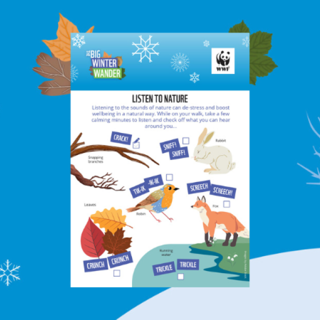 Big Winter Wander Listen to Nature Activity Sheet - what noises to listen out for for robins, foxes, leaves, rabbits