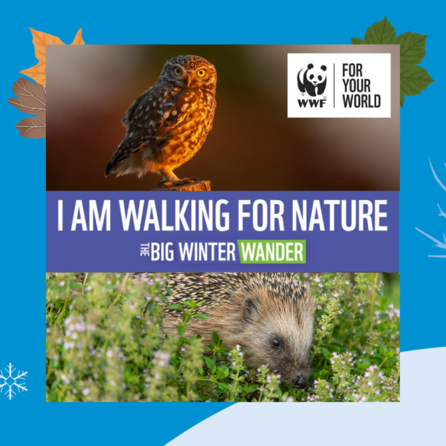 Sponsor Me Poster - UK wildlife
