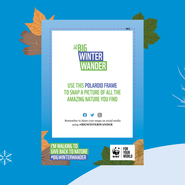WWF The Big Winter Wander Polaroid Frame
