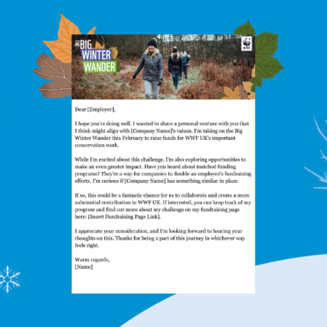 Big Winter Wander Matched Giving letter template to employers