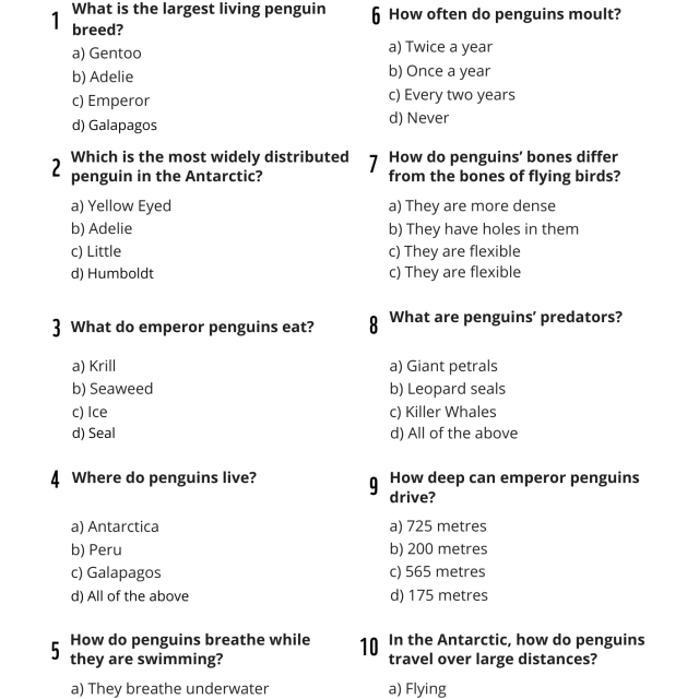 Penguin quiz 