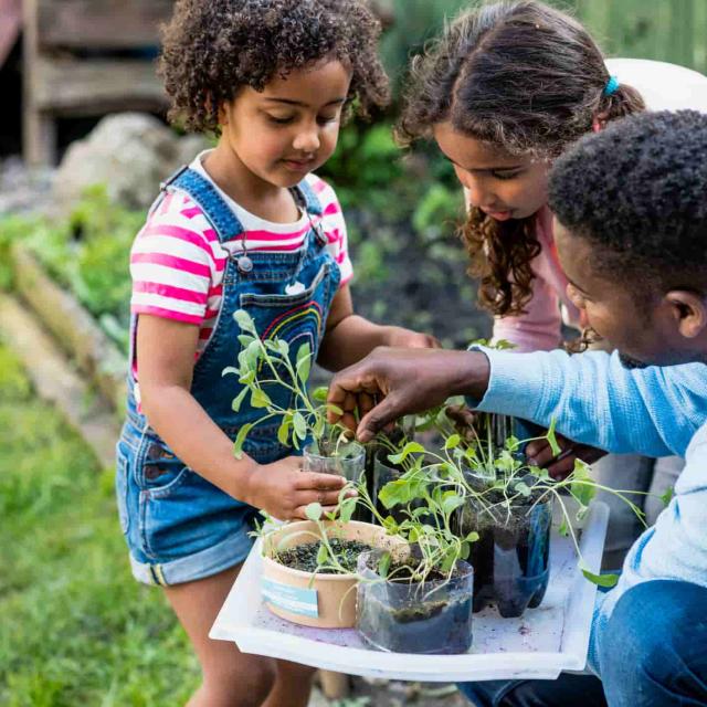 A father with his two young daughters looking at the progress of the mini herb garden that they have planted together as a family. They have reused old drinks containers as plant pots and are checking the progress.